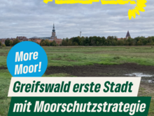 Greifswald ist die erste Stadt mit einer Moorschutzstrategie. Das Foto zeigt die Stadtansicht von den Ryckwiesen aus.