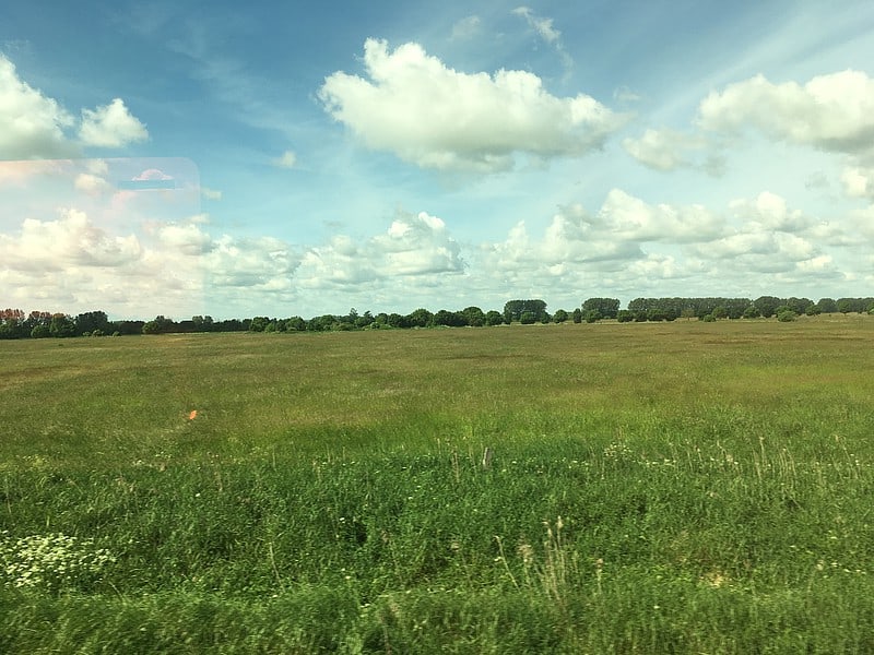 Bild mit einem Feld