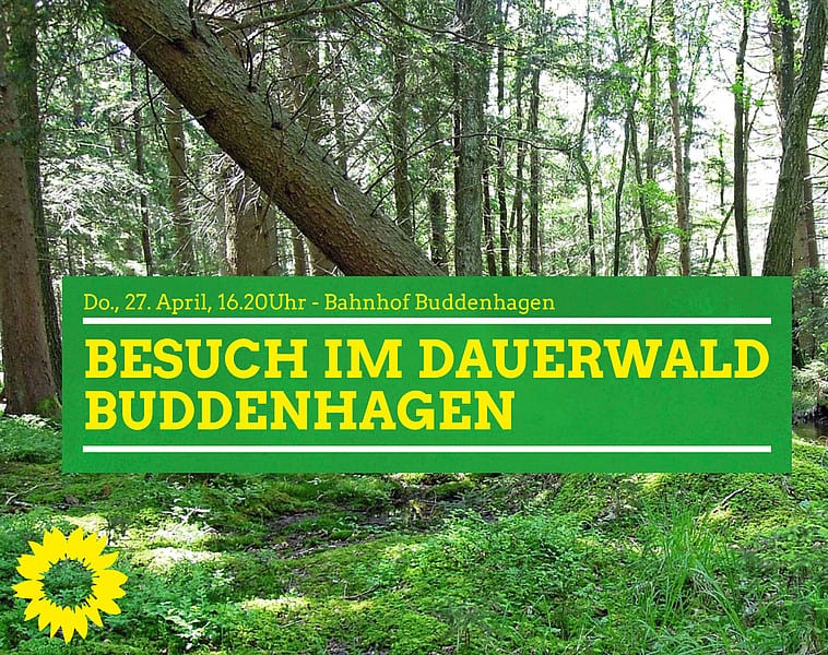 Bild vom Dauerwald Buddenhagen