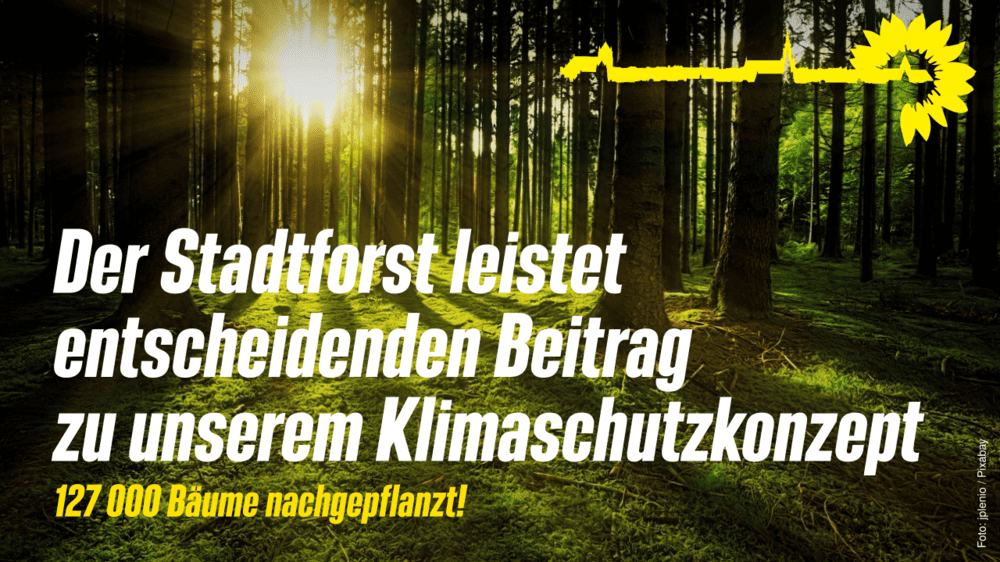 127.000 Bäume nachgepflanzt! Der Stadtforst leistet entscheidenden Beitrag zu unserem Klimaschutzkonzept!