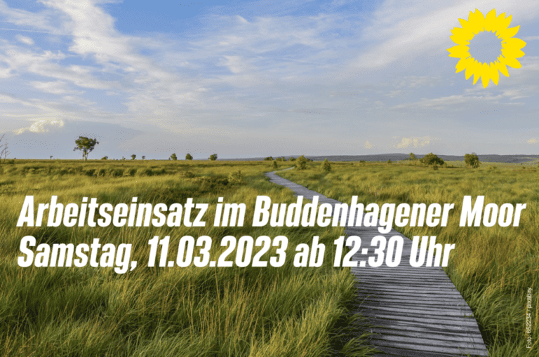 Arbeitseinsatz im Buddenhagener Moor mit der Dauerwaldstiftung