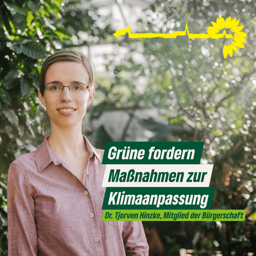 Grüne fordern Maßnahmen zur Klimaanpassung