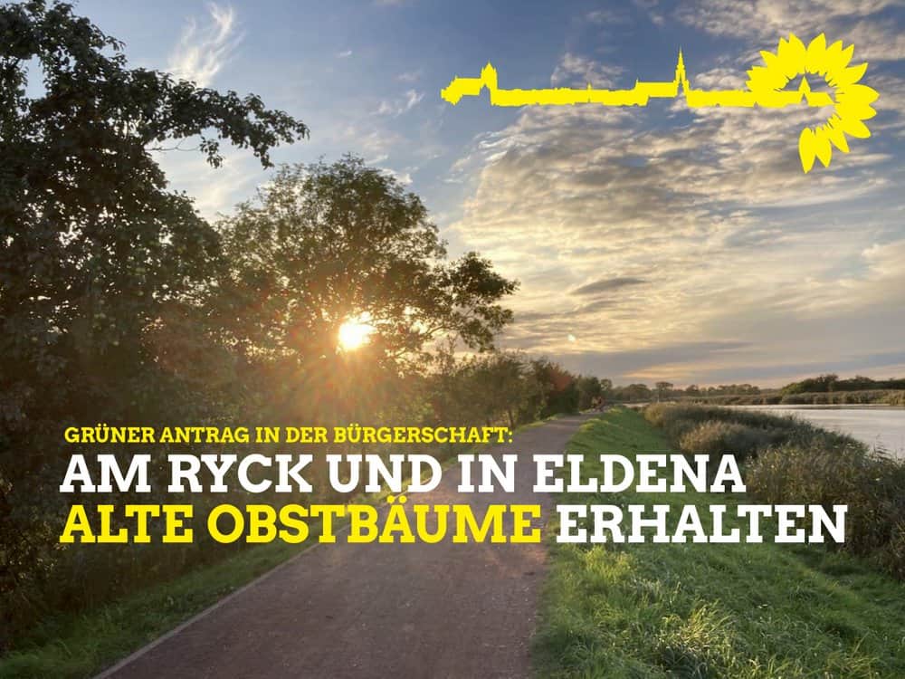 Grüner Antrag in der Bürgerschaft - Alte Obstsorten am Ryck und in Eldena erhalten!